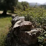 Stazzo Mit Garten In By Interhome Holiday home