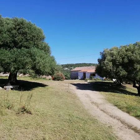 Stazzo Mit Garten In By Interhome Holiday home Luogosanto