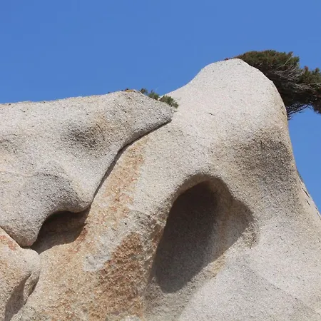 Stazzo Mit Garten In By Interhome