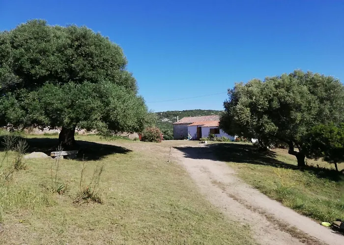Stazzo Mit Garten In By Interhome Holiday home Luogosanto