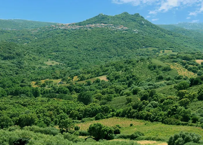 Stazzo Mit Garten In By Interhome Nyaraló