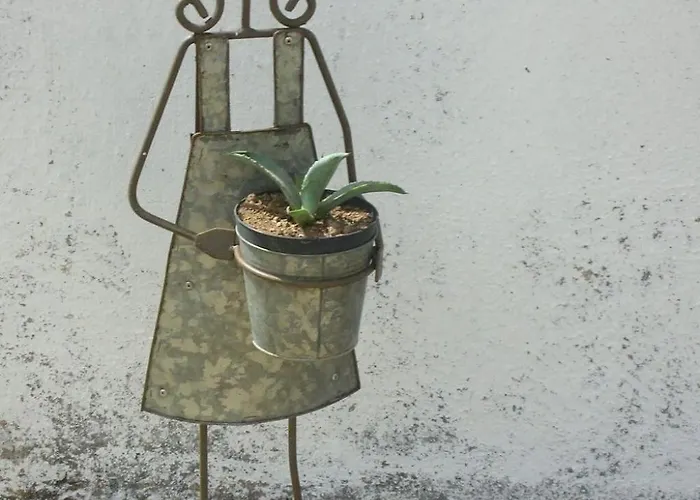 Stazzo Mit Garten In By Interhome Nyaraló Luogosanto